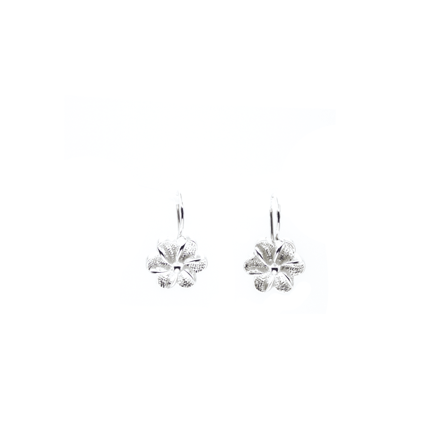 Aros Gardenia Plata 925