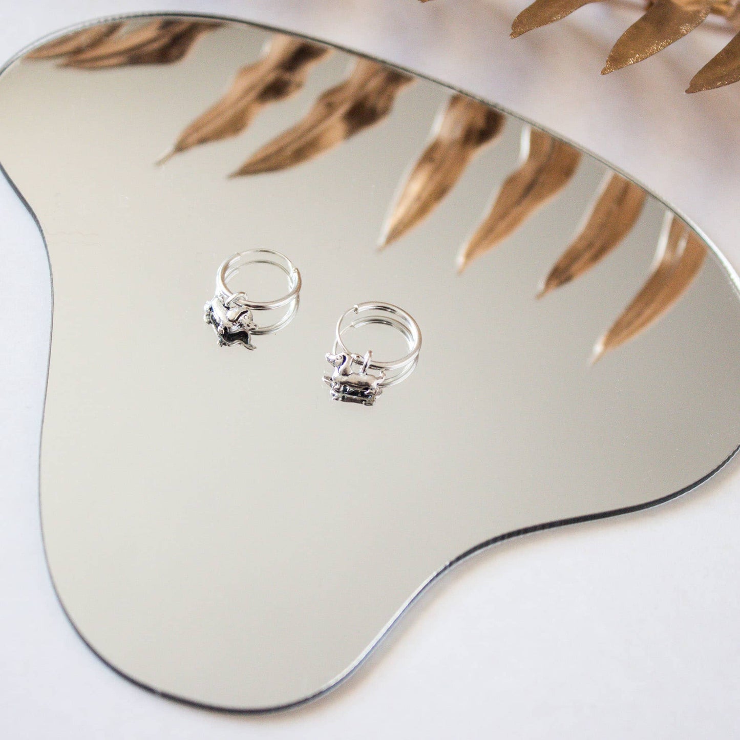 Aros Perrito Salchicha escenario