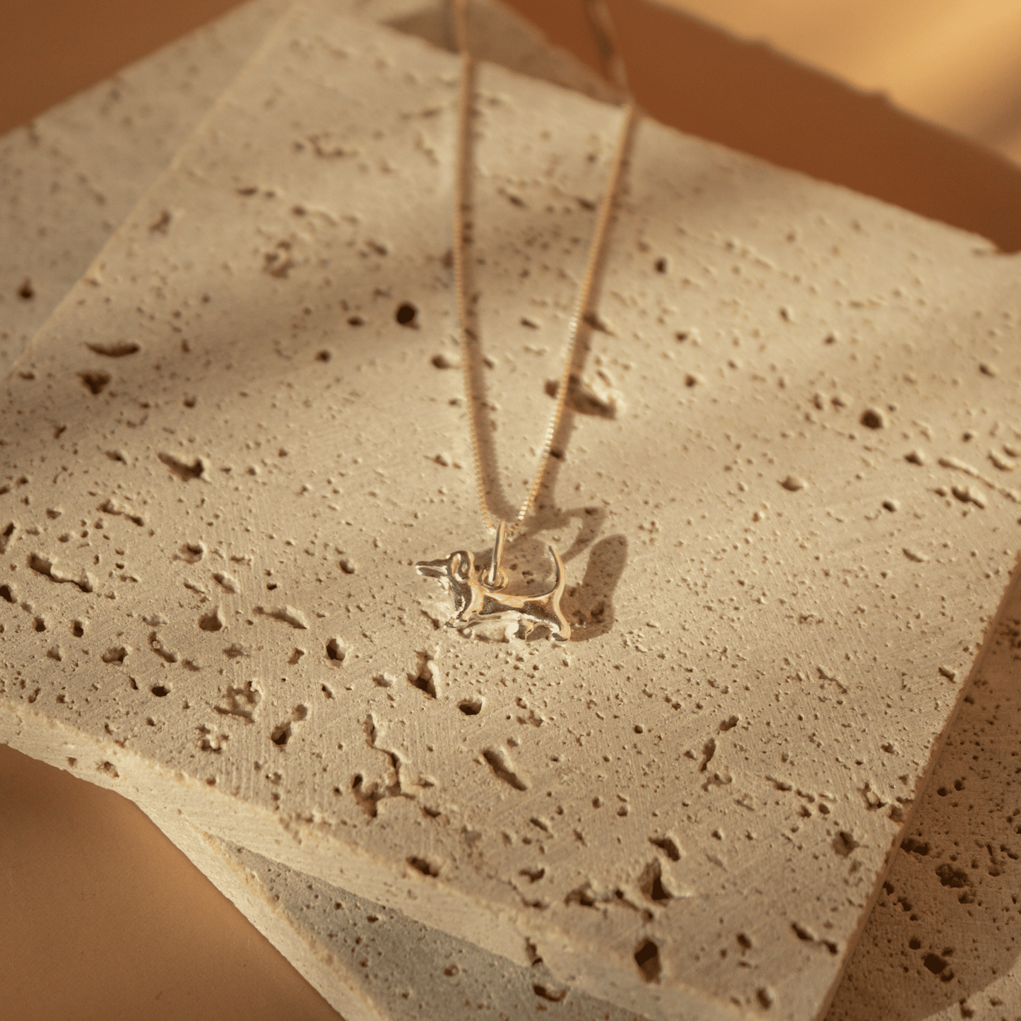 Collar Amor Perruno escenario