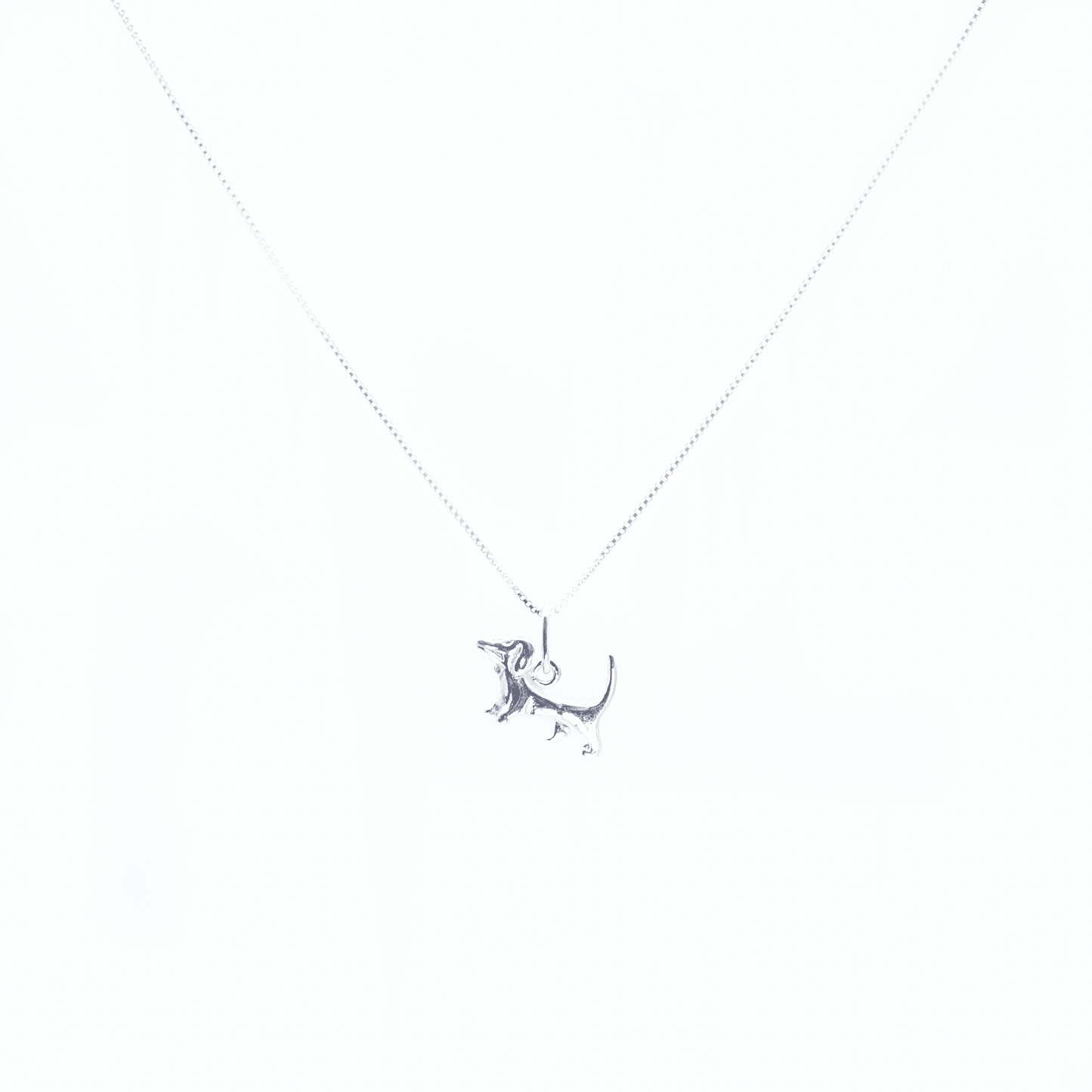 Collar Amor Perruno Plata 925