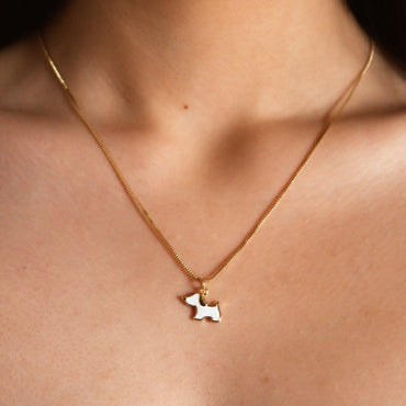 Collar Baño Oro Dog lover blanco modelo