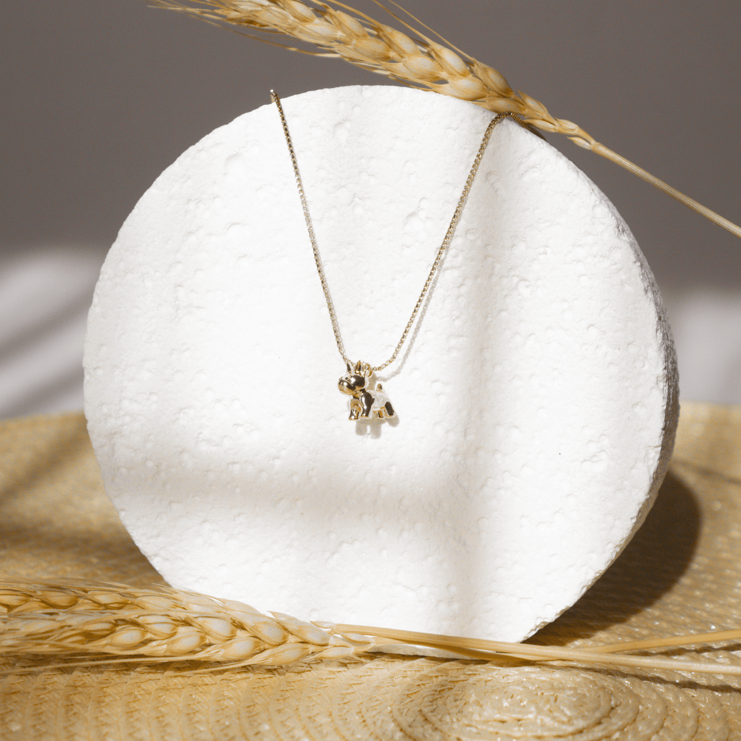 Collar Perrito Bulldog escenario