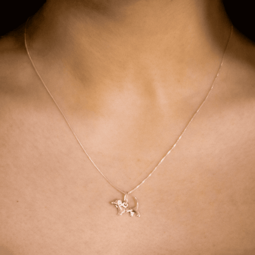 Collar Amor Perruno Modelo2