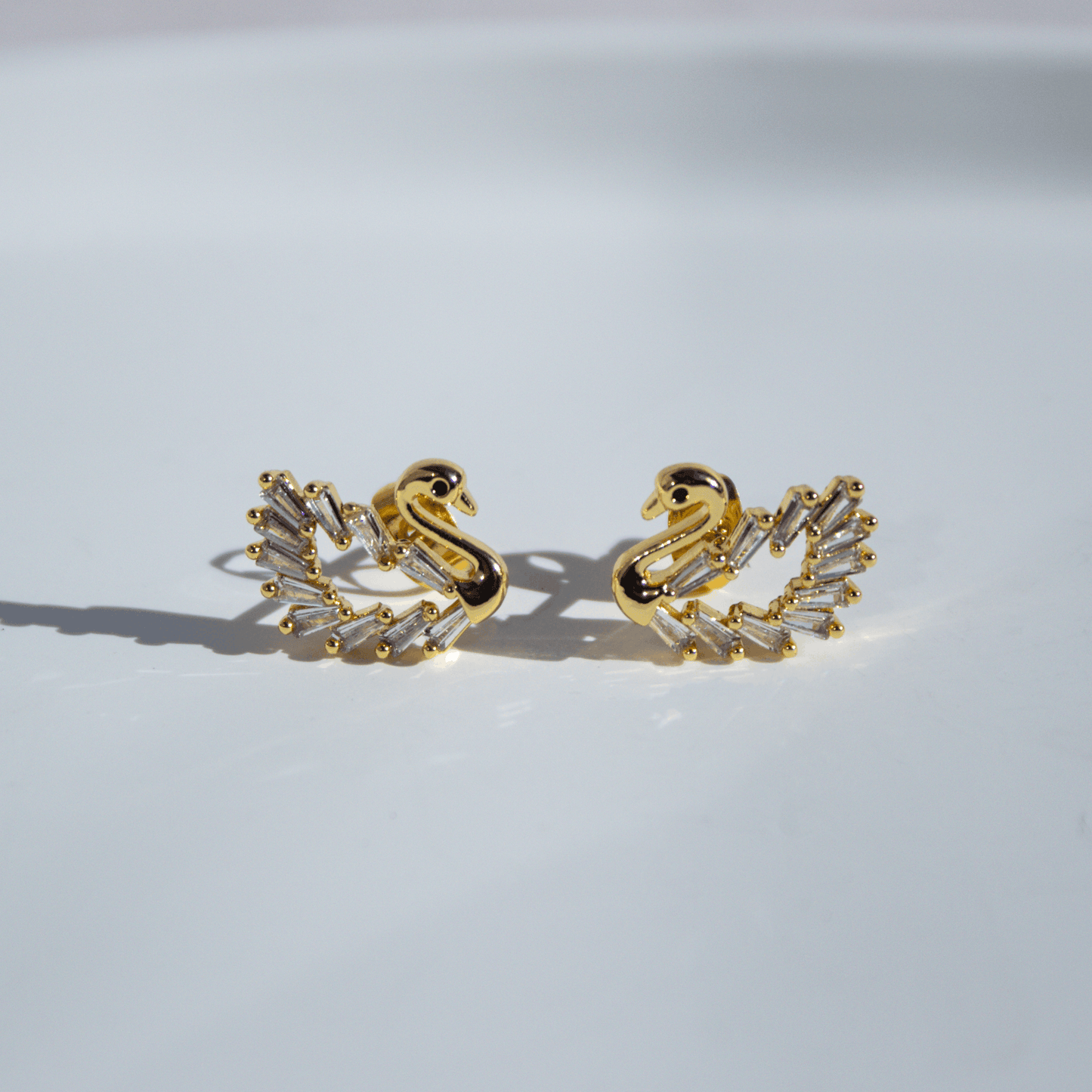 escenario aros cisne