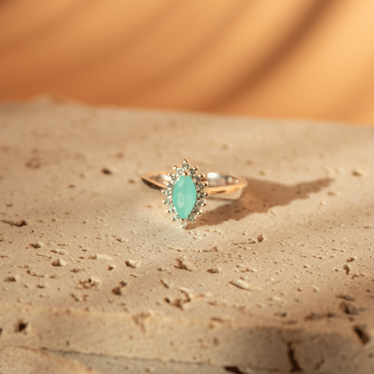 Anillo Aguamar Escenario