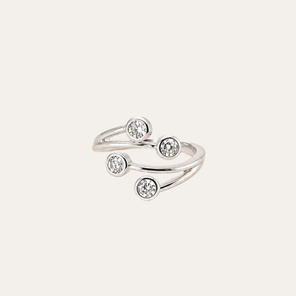 Anillo Hojas de Nieve Plata925