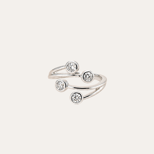 Anillo Hojas de Nieve Plata925