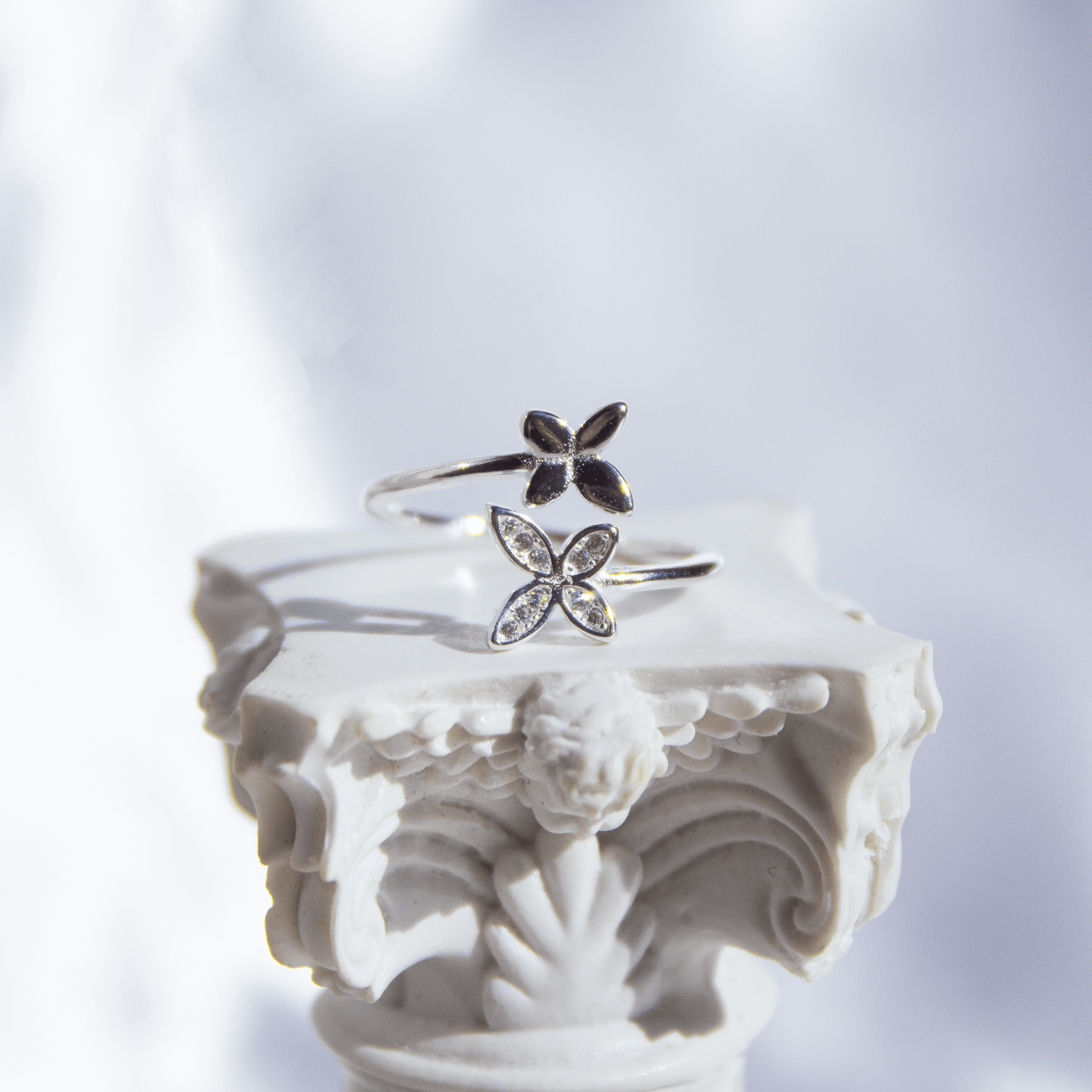 Anillo Mariposas escenario