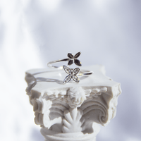 Anillo Mariposas escenario