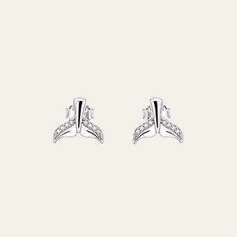 Aros Cola de Ballena Plata 925
