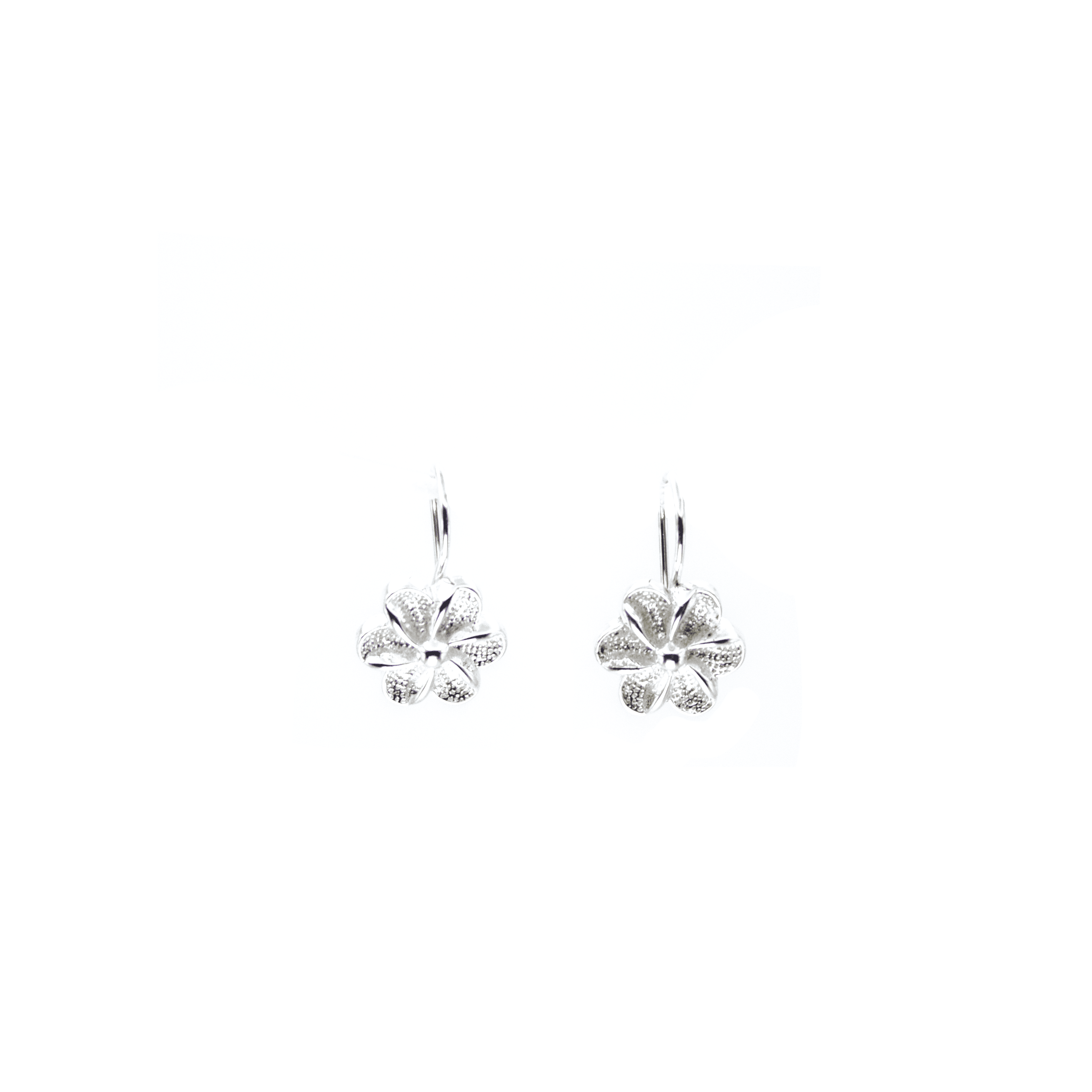 Aros Gardenia Plata 925