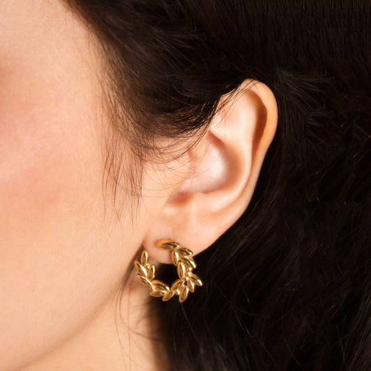 Aros Olympia modelo