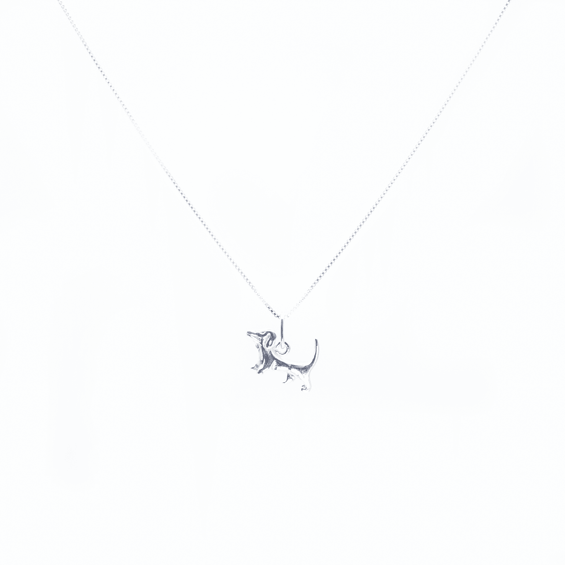 Collar Amor Perruno Plata 925