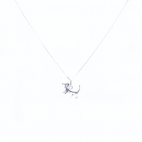 Collar Amor Perruno Plata 925