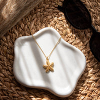 Collar Baño Oro Estrella de mar escenario