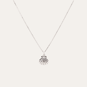 Collar Concha Marina plata 925