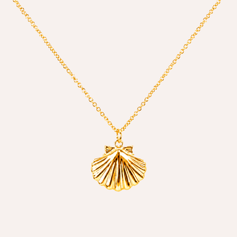 collar concha de mar bano oro