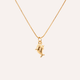 Collar Delfines baño oro