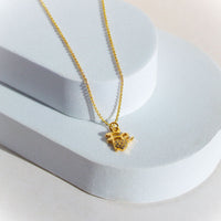 Collar Fe Pura Escenario