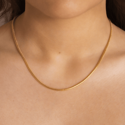 Collar Hera modelo