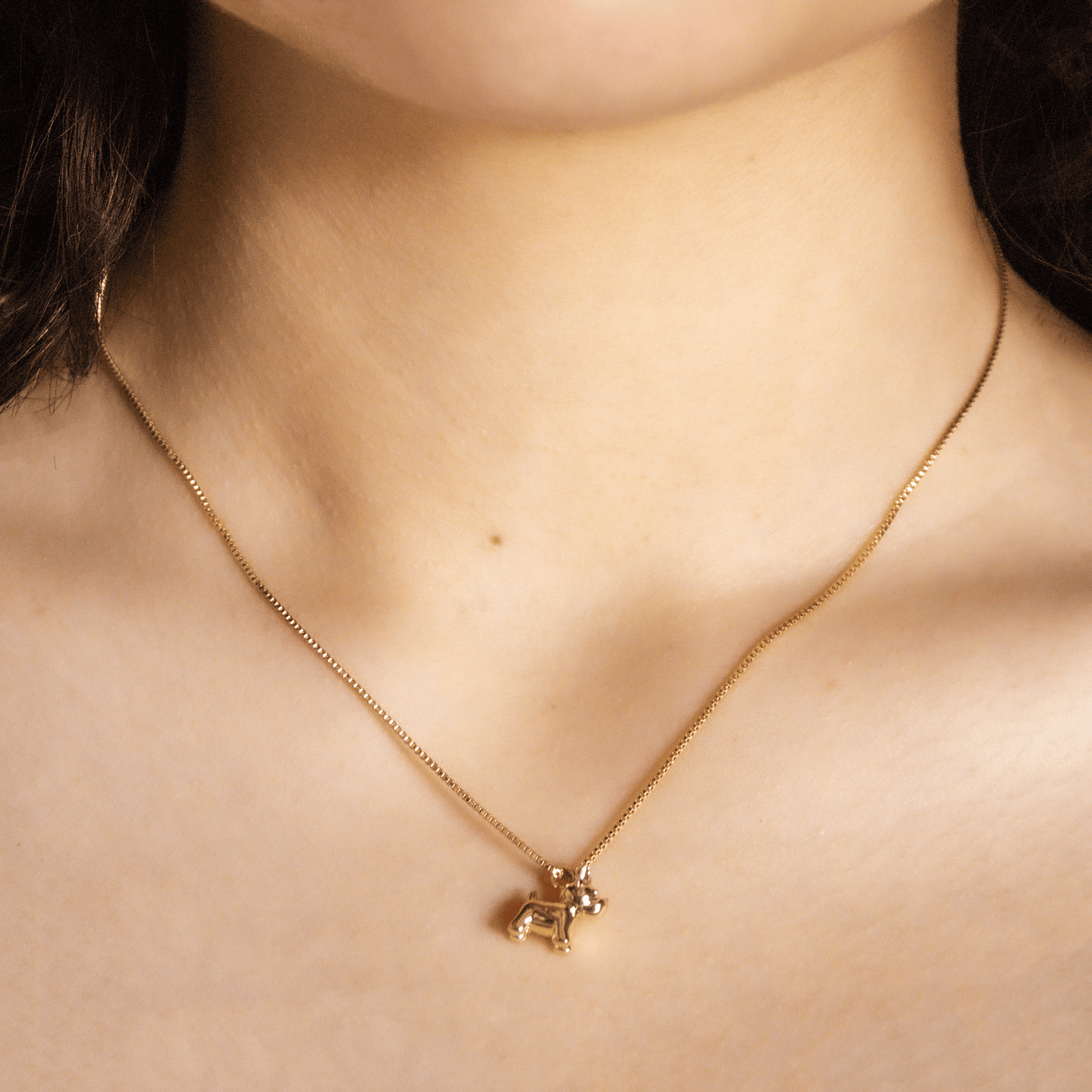 Collar Perrito Bulldog modelo