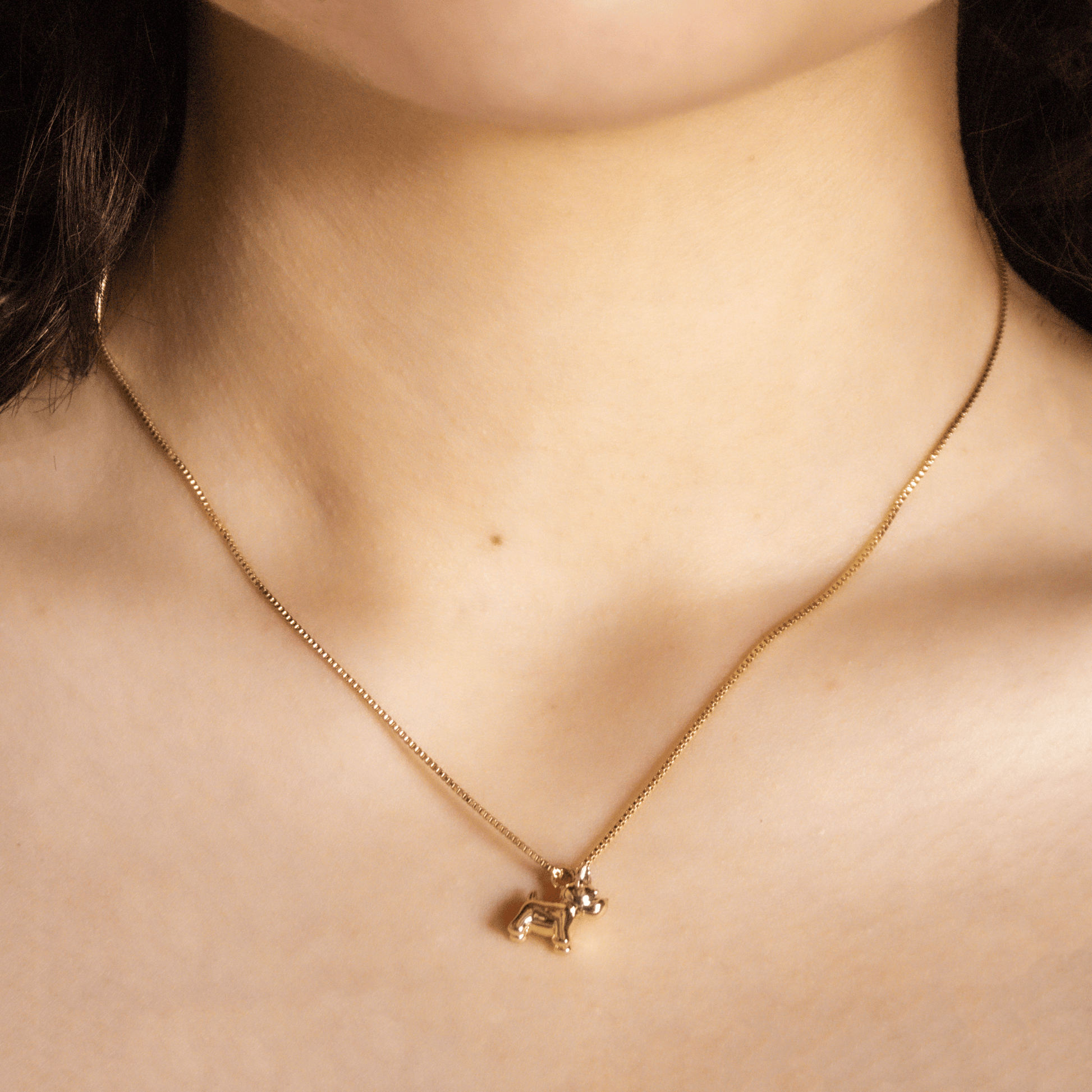 Collar Perrito Bulldog modelo