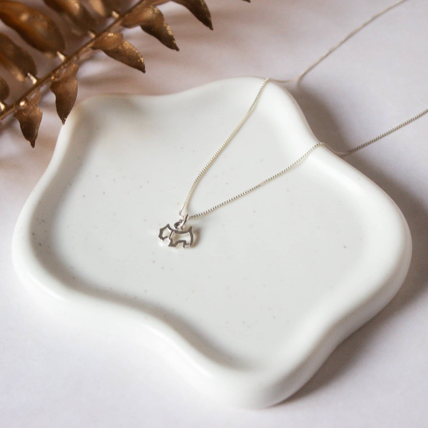 Collar Perrito Escenario