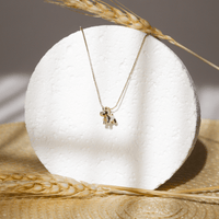 Collar Perrito Bulldog escenario