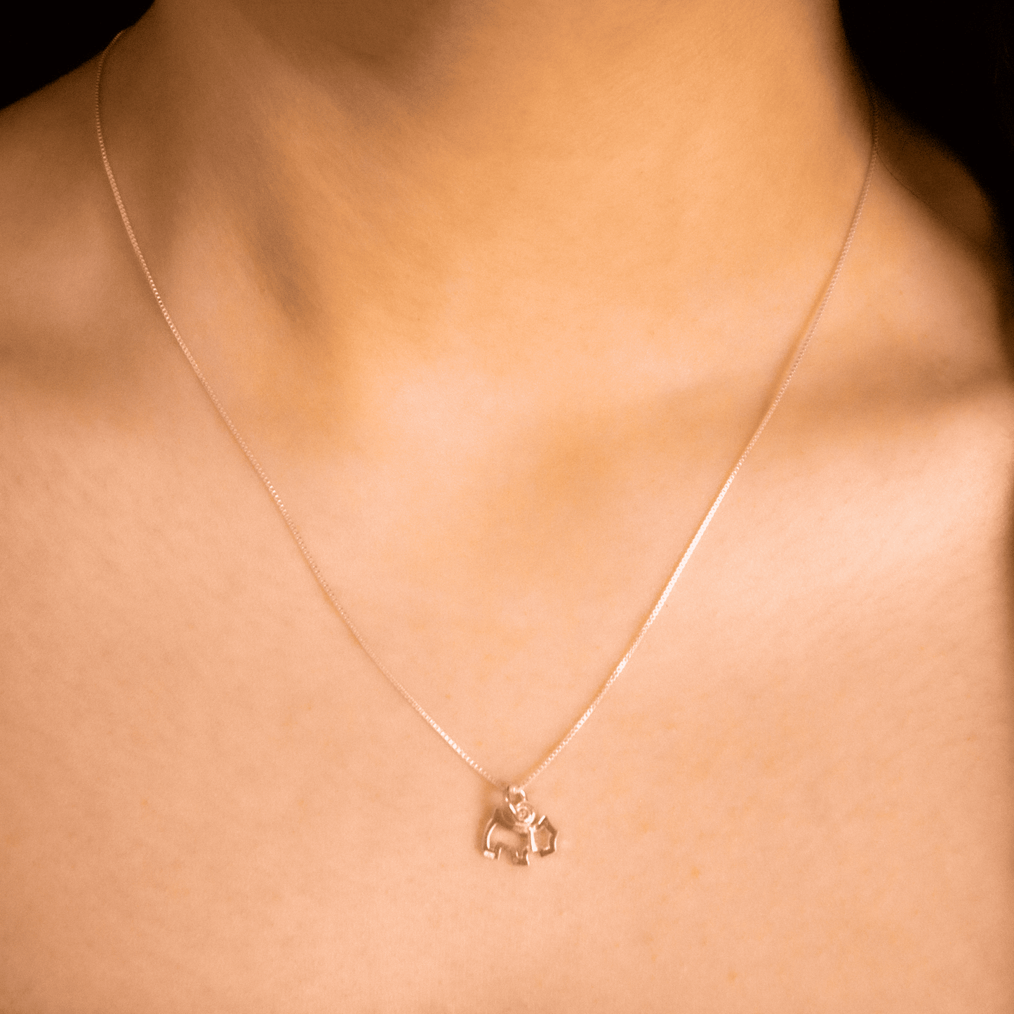 Collar Perrito modelo