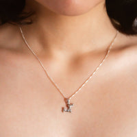 Modelo Collar Perrito Salchicha