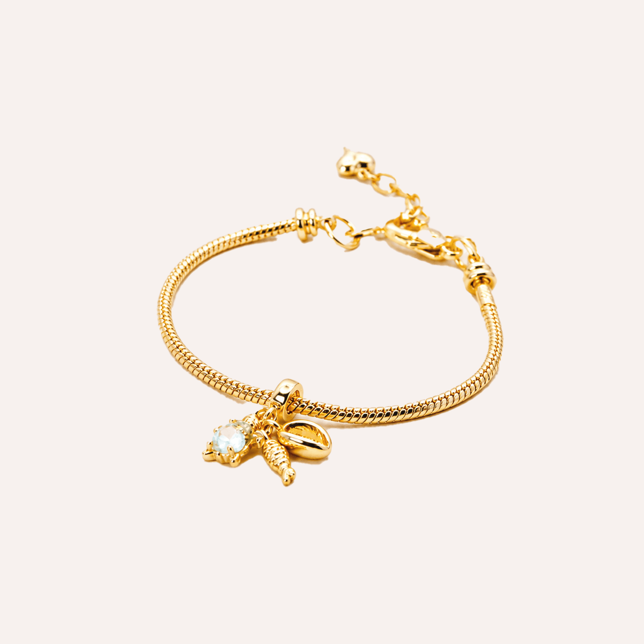 Set 'Pulsera + Charm' Baño en Oro (6 opciones)